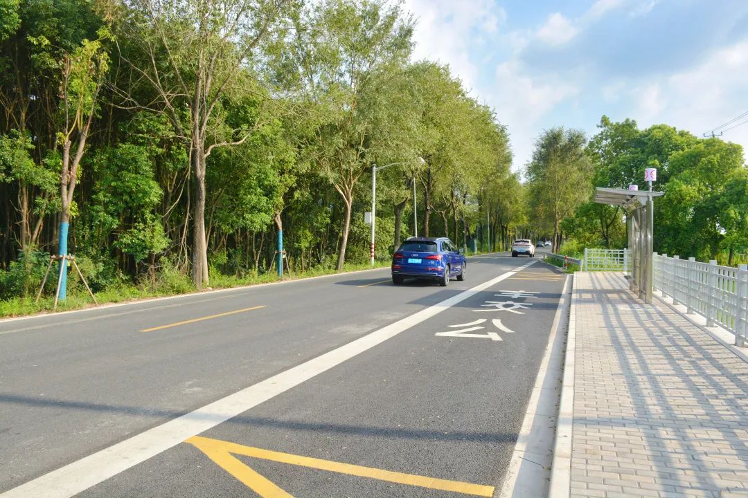这些"港湾式"公交车停靠站点建成启用!在练塘这条路上