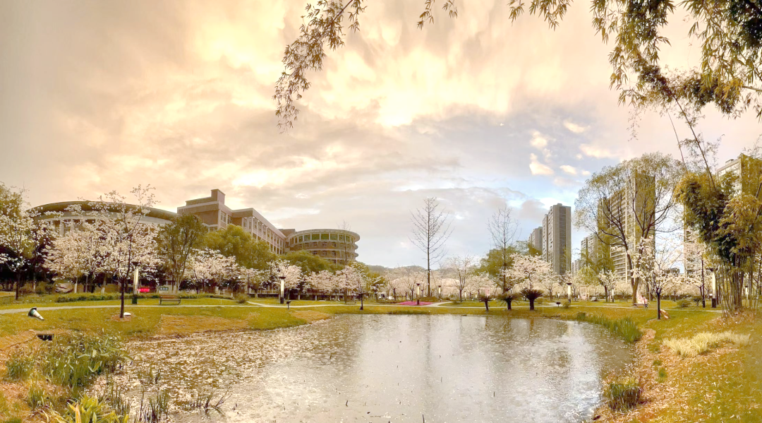 丽水学院2024招生政策及优势专业介绍