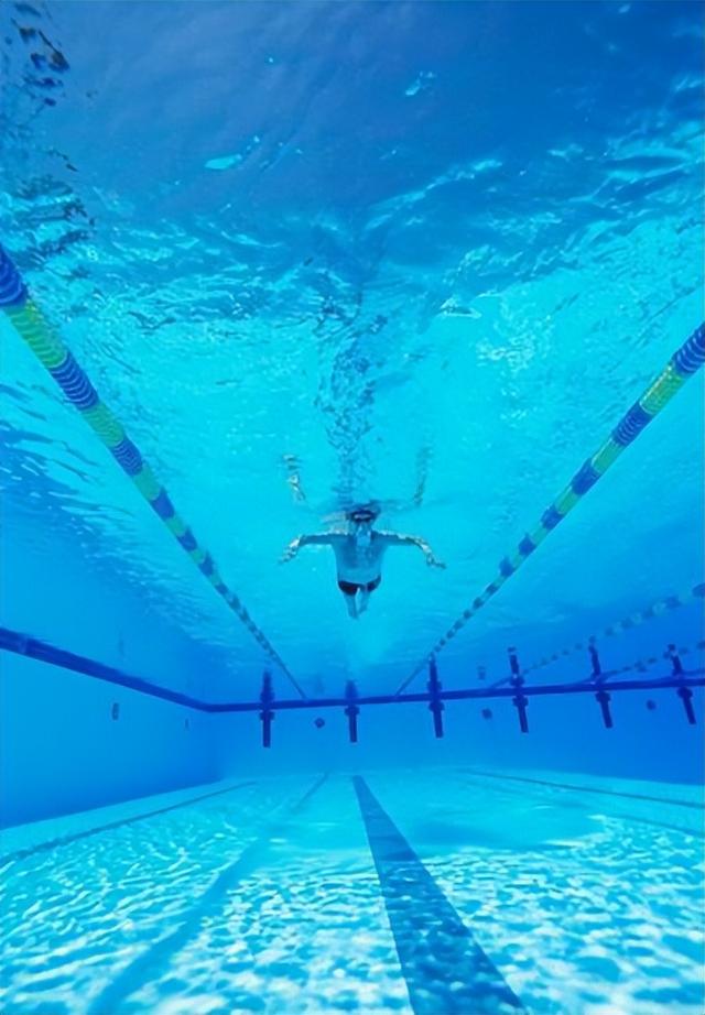 你因为什么而游泳?