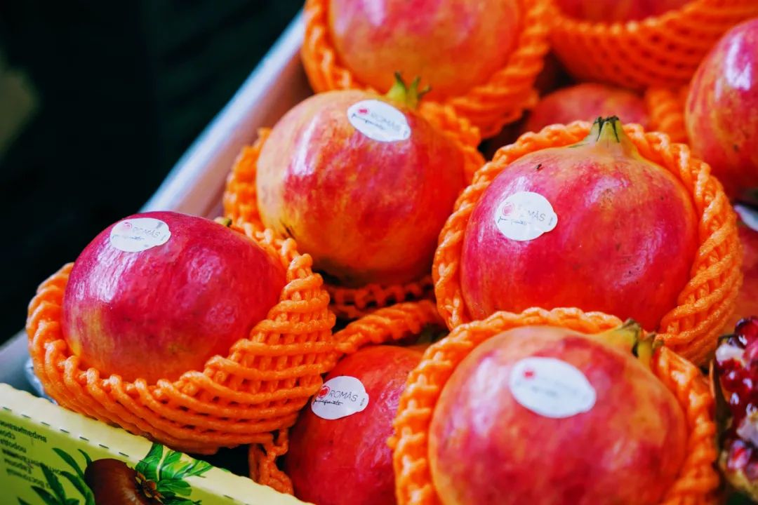 上海最大水果批发市场!