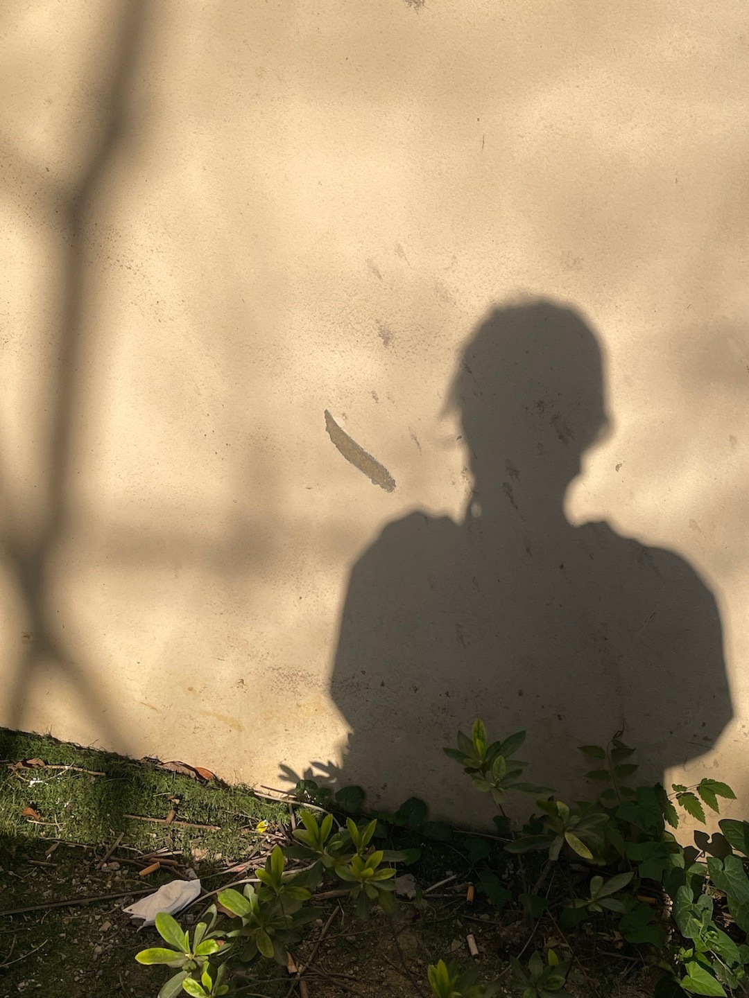 好天气 合肥·融科城