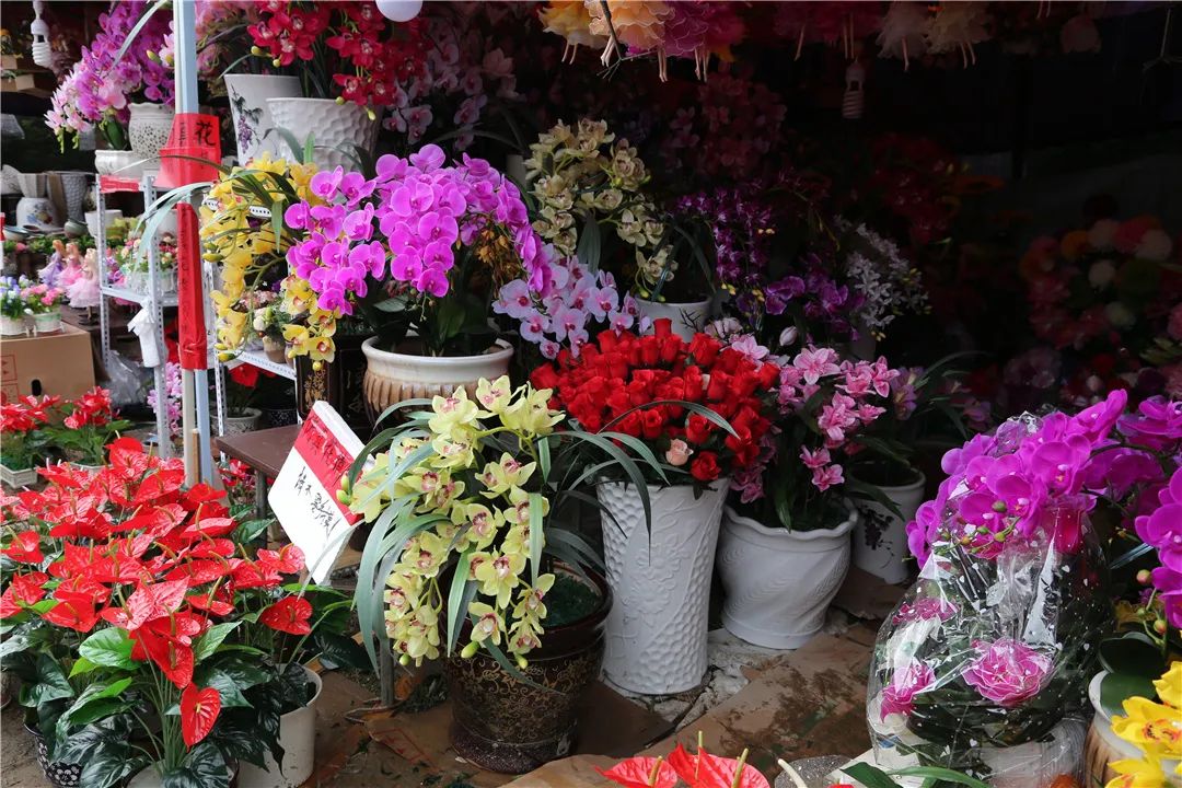 腾冲端阳花市即将开幕,喊你来赶花街!