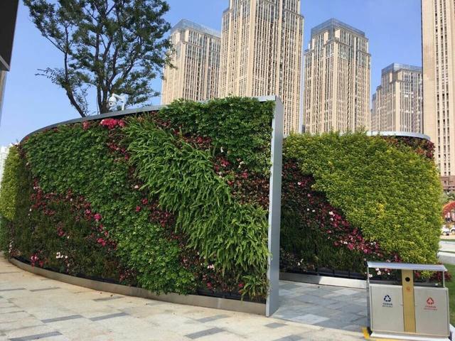 城市植物墙,为昆明再添一点绿