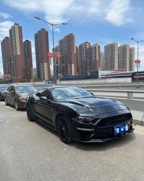 shelby是福特野马跑车系列中的一个独特分支,被誉为谢尔比眼镜蛇