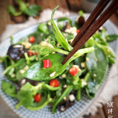 凉拌穿心莲 带着美食出去浪