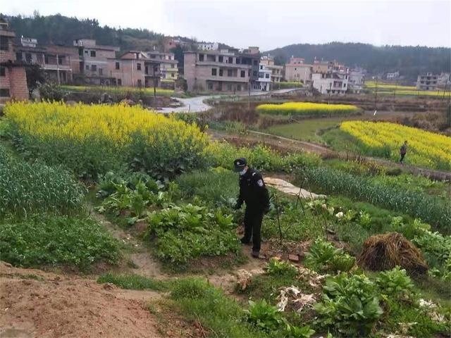 衡阳县井头镇开展春季禁种铲毒工作
