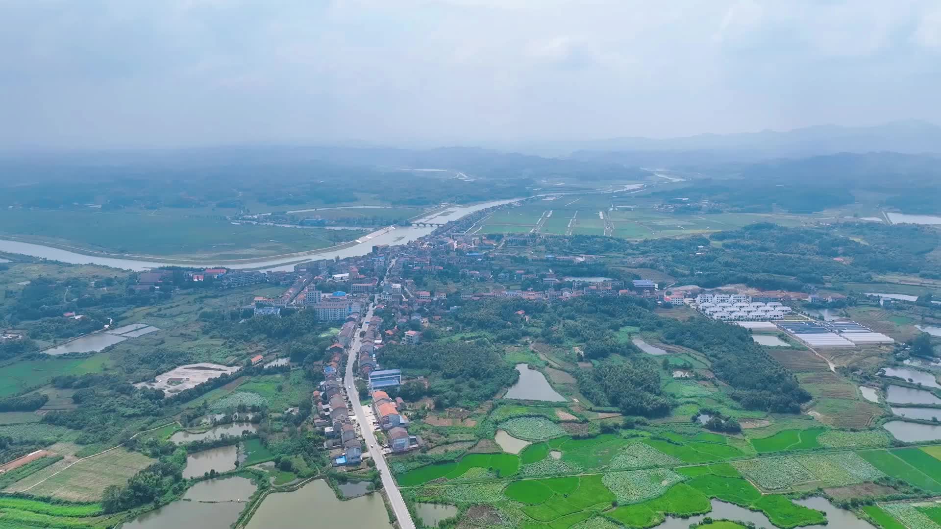 聂市镇:青山碧浪飘茶香 农旅融合续华章