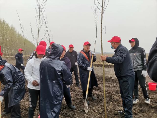 区委开展主题党日义务植树活动