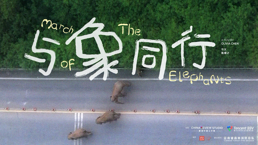 纪录片《与象同行》:不会落幕的大象奇旅故事