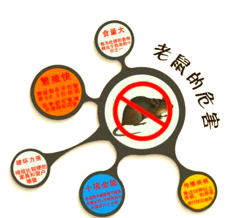 鼠害防治