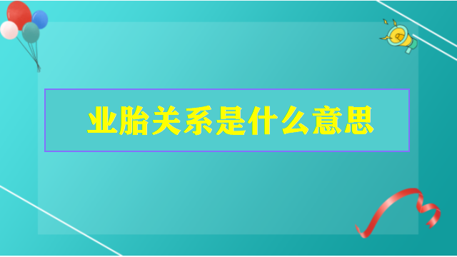 业胎关系是什么意思呢