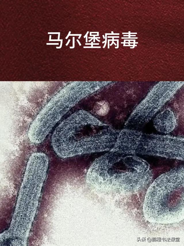  十种病毒名称(各种病毒名称大全)