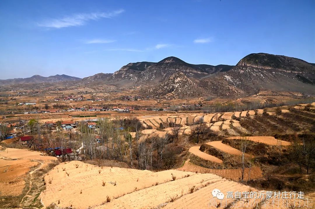 箕子山下话土蜂