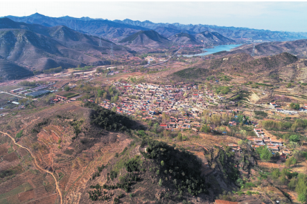 沂源南水沟村青石小路兄弟槐岁月留痕南山沟
