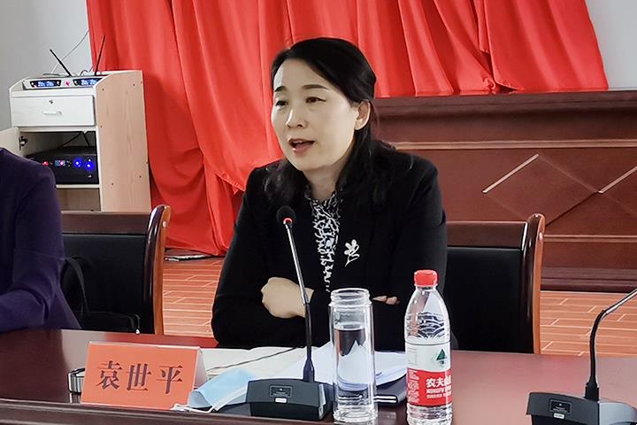 袁世平赴临澧县四新岗镇珠日桥村调研乡村振兴工作