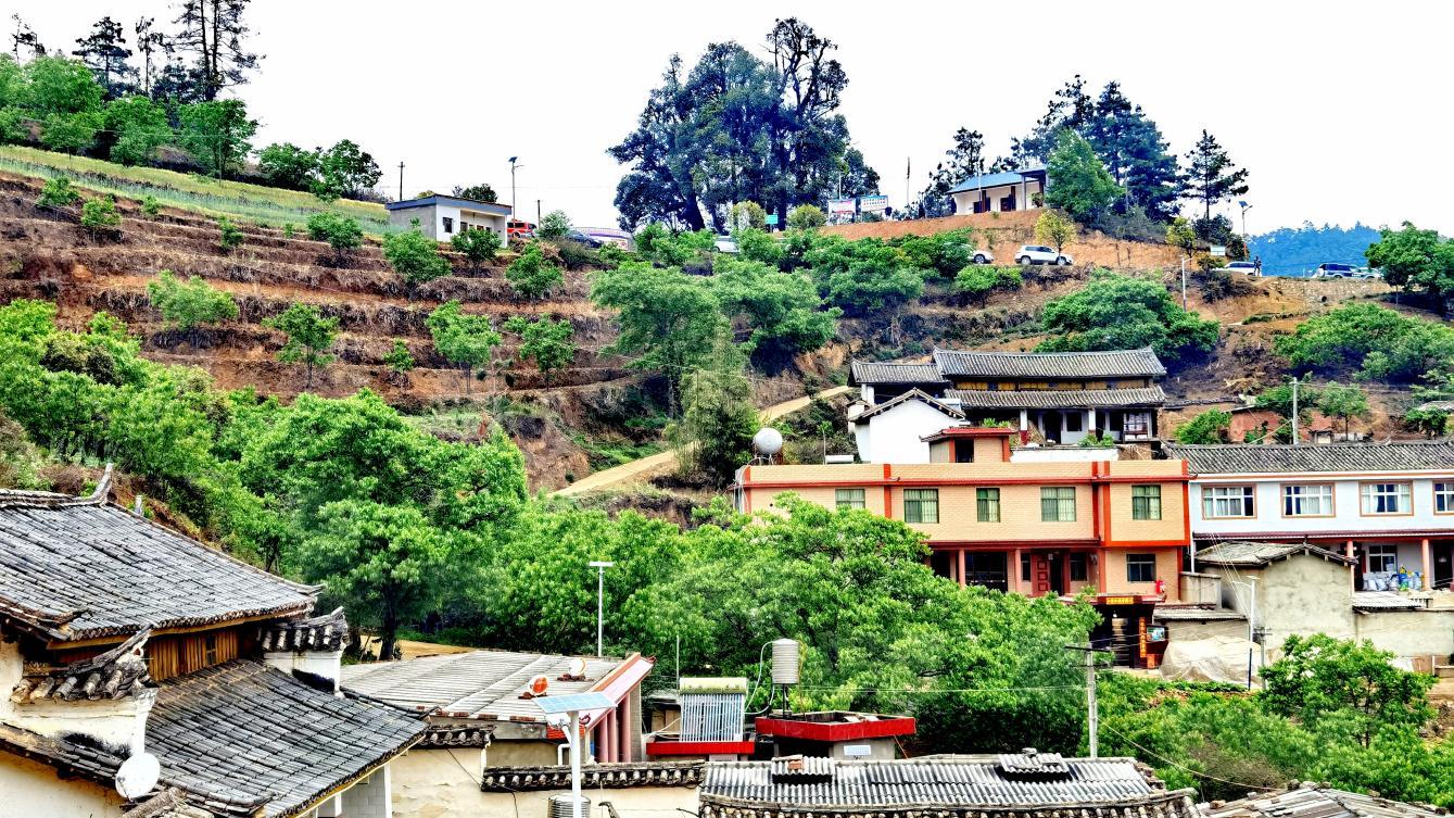 楚雄市中山镇:聚智凝力"三位"助推民族团结进步示范工作迈新阶