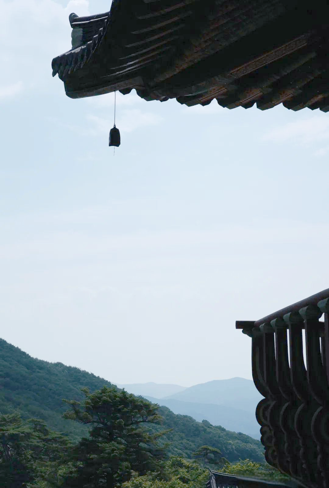 釜山梵鱼寺:山中禅意与自然共融的千年寺院