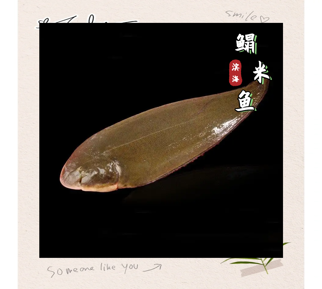 无论是清蒸,红烧,还是炖汤,煎炸,都能展现出鳎米鱼独特的魅力