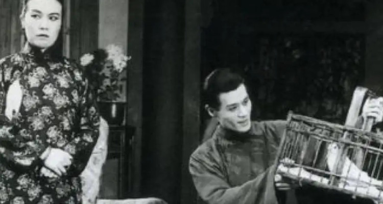 衍太太的人物形象分析