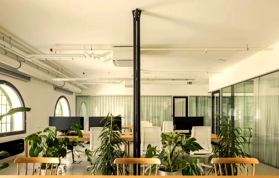 森系办公空间:打造愉悦轻松的办公氛围