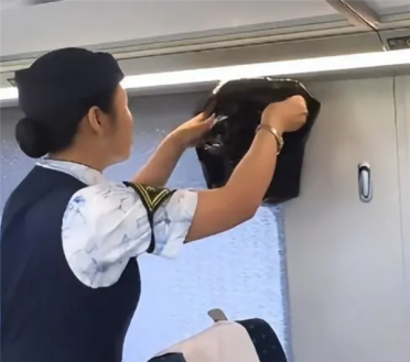 高铁行李架上惊现一条蛇！铁路部门回应：系旅客私自夹带