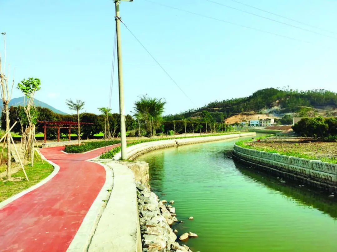 惠东稔山新村村:订单农业助力乡村振兴