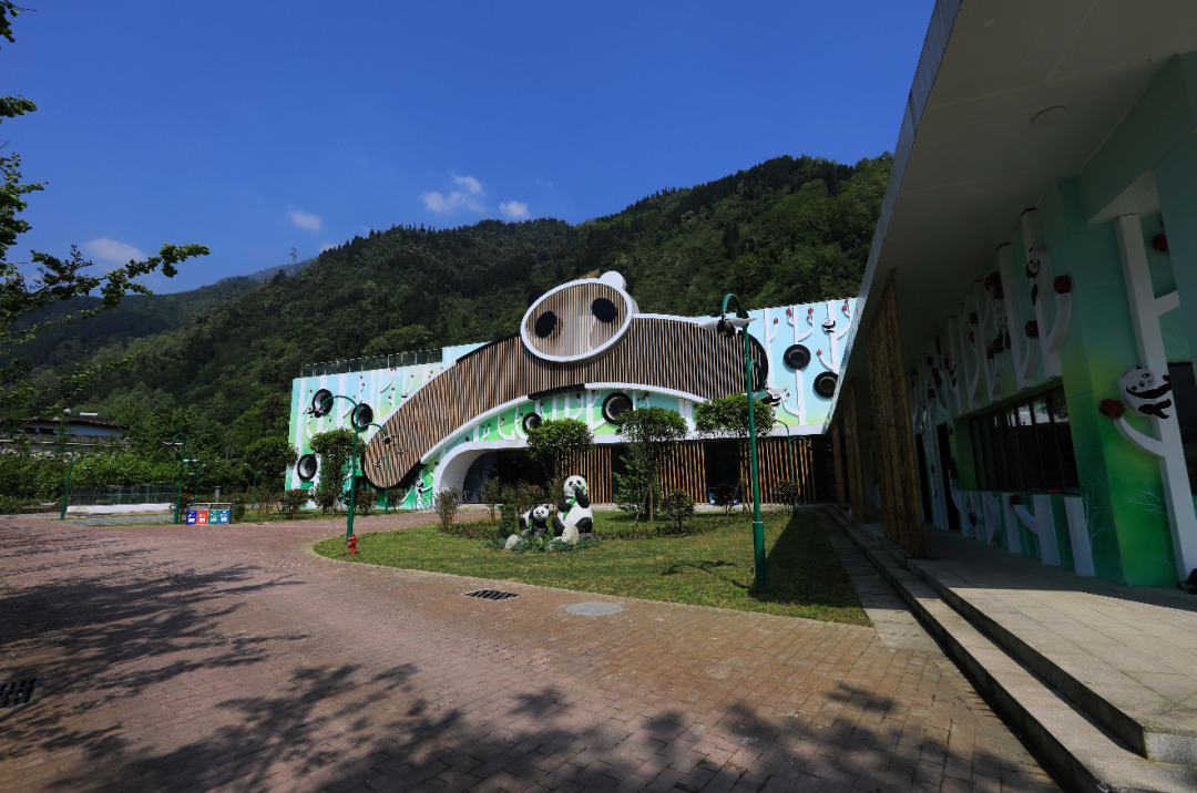 创建天府旅游名县|在绵竹,大熊猫带你开启奇妙之旅