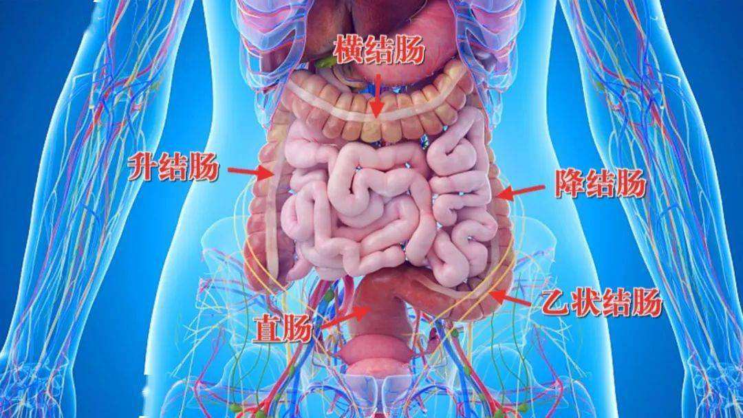成都东区中医肿瘤医院:结肠肿瘤病人住院注意事项?