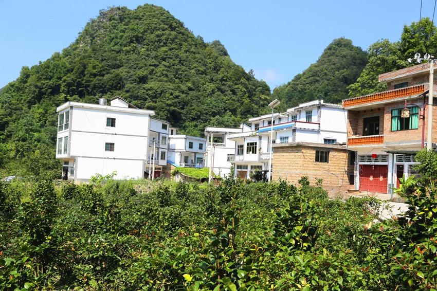 紫云自治县宗地镇:创建宜居乡村 共建美丽家园