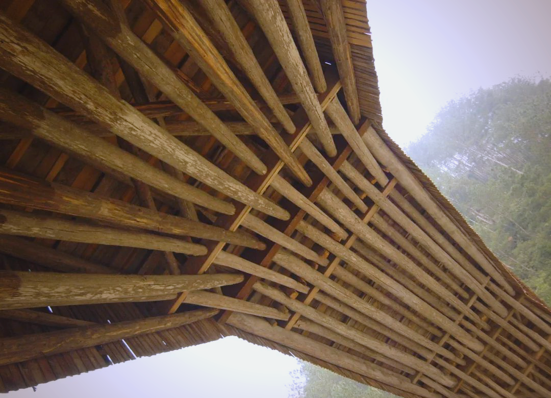 中国木拱桥:传统技艺的传承与保护