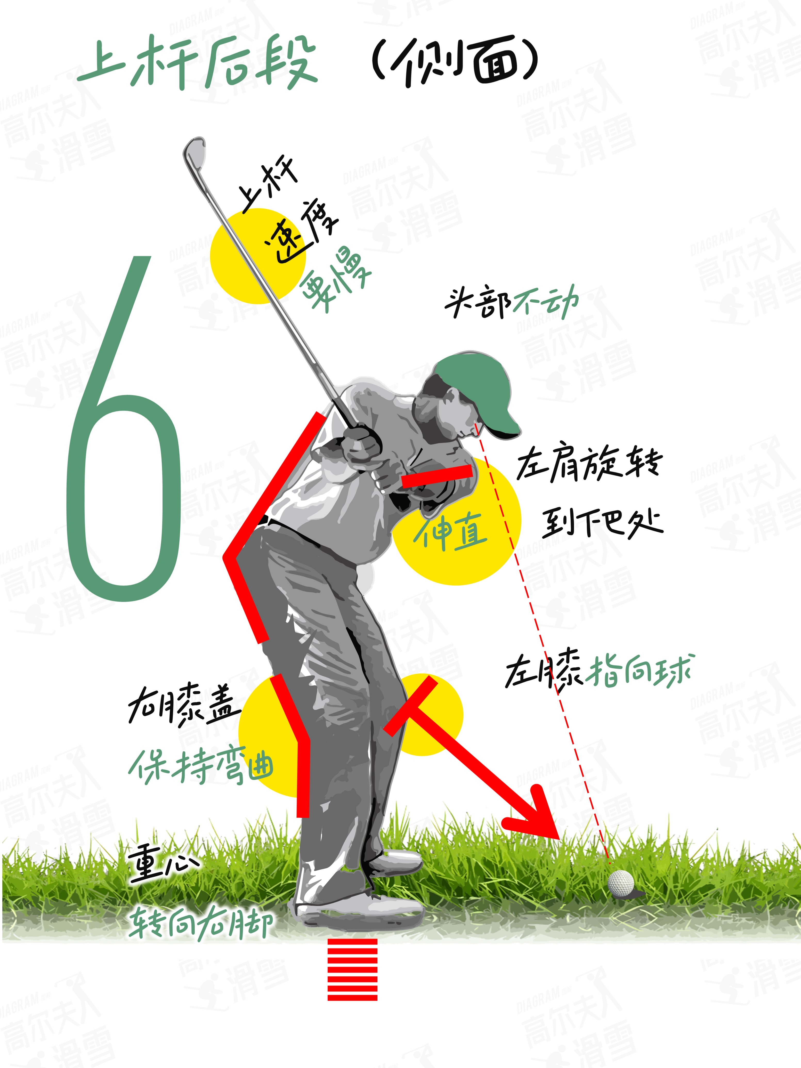 高尔夫动作要领分解图图片