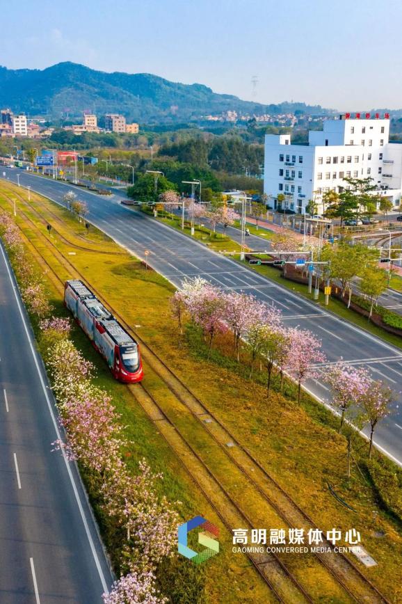 事关高明有轨电车,这场座谈会透露