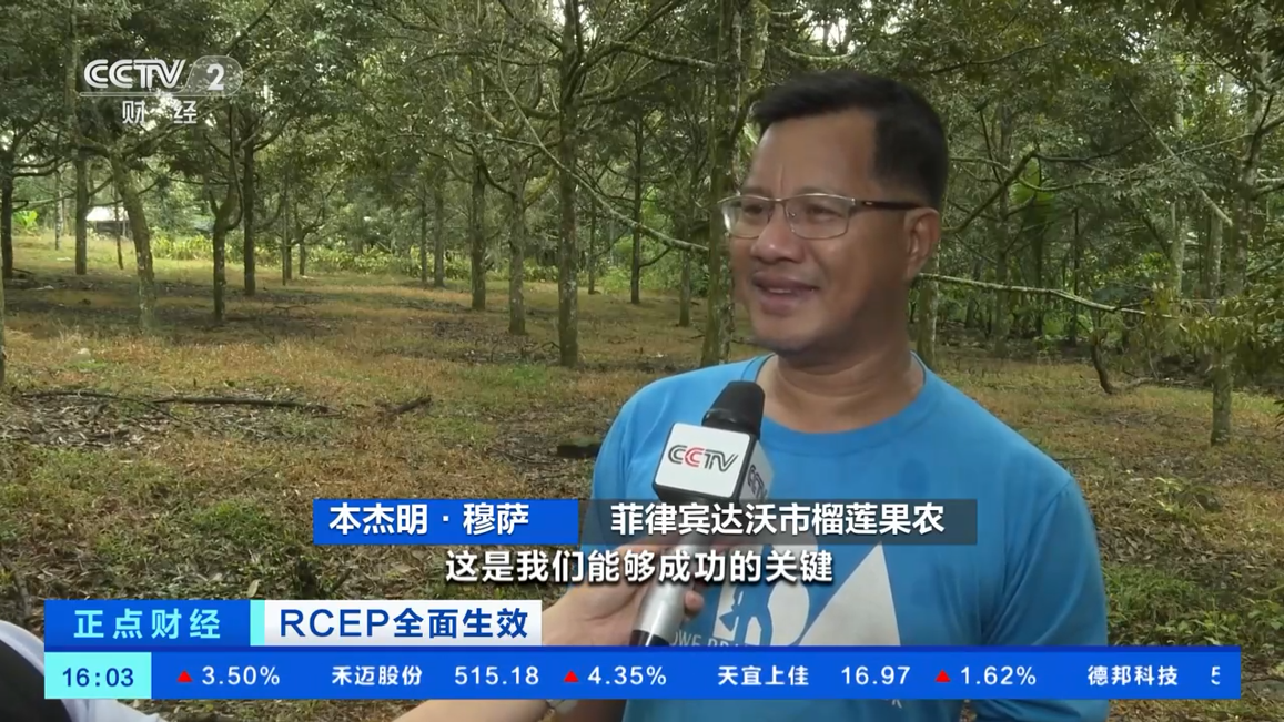 口感像奶油!菲律宾"普雅"榴莲要来了!