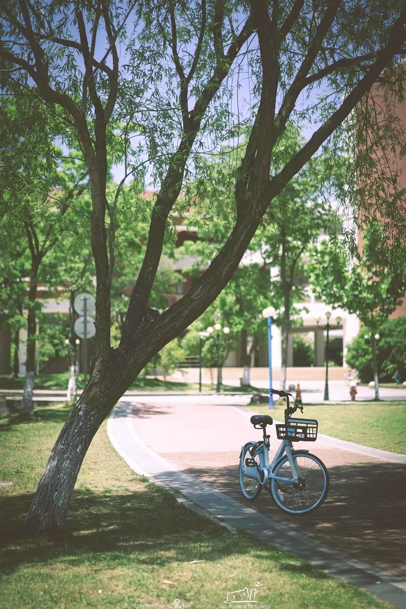 快来,捕捉ecust心动瞬间