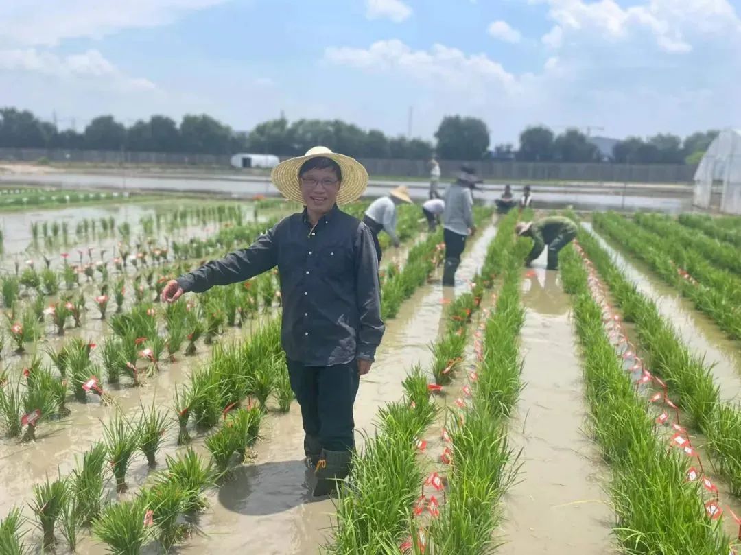 何祖华"不到田里去看一眼就感到焦虑.