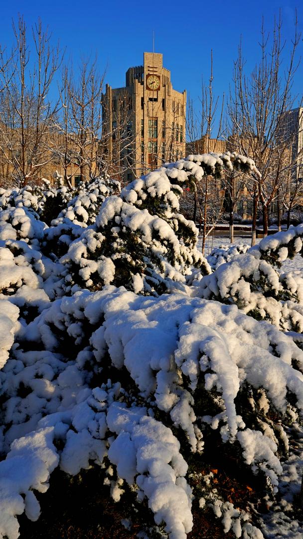 立冬下雪图片大全图片