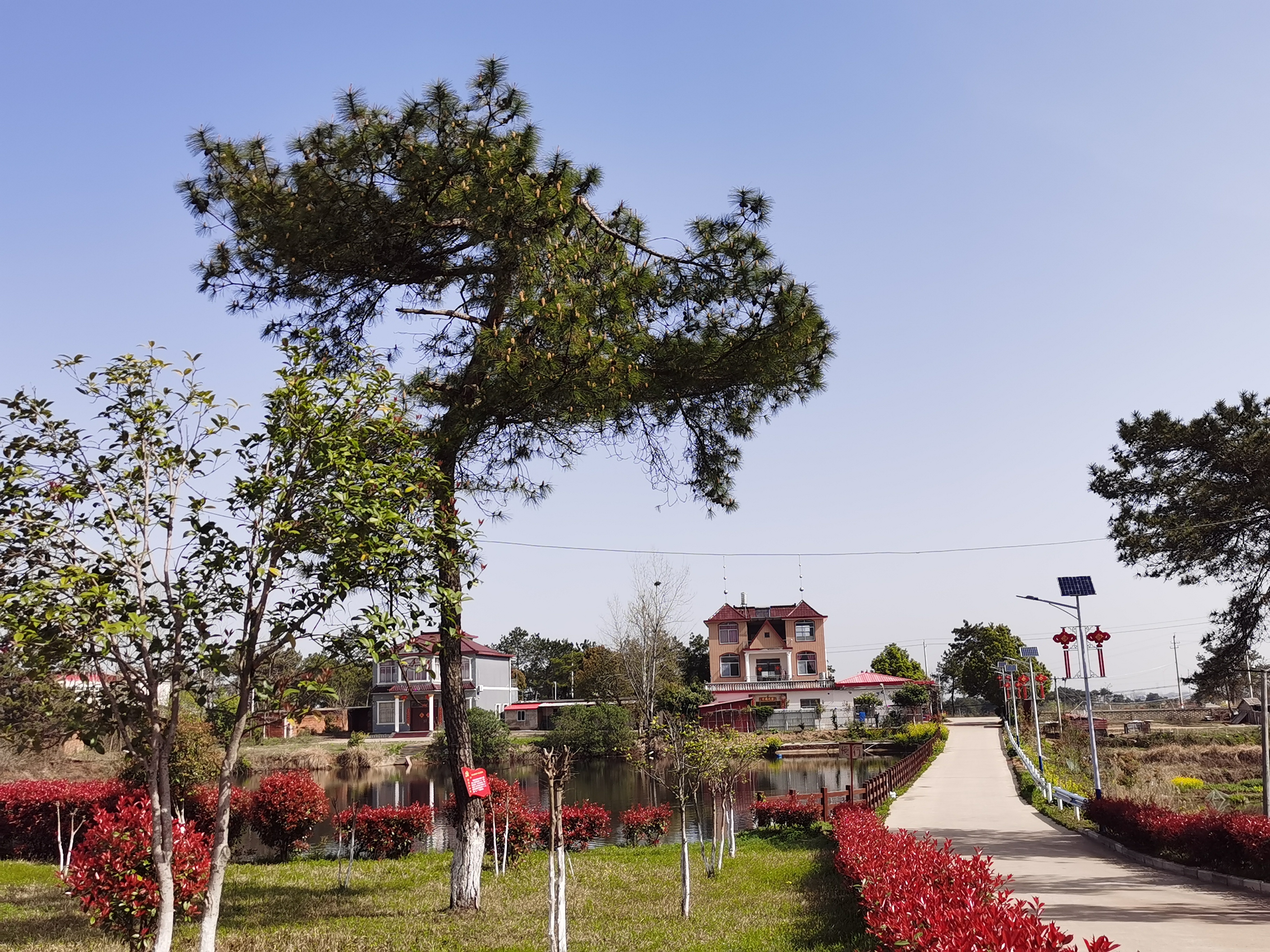 商城县鄢岗镇:"五个一"构建环境整治长效机制