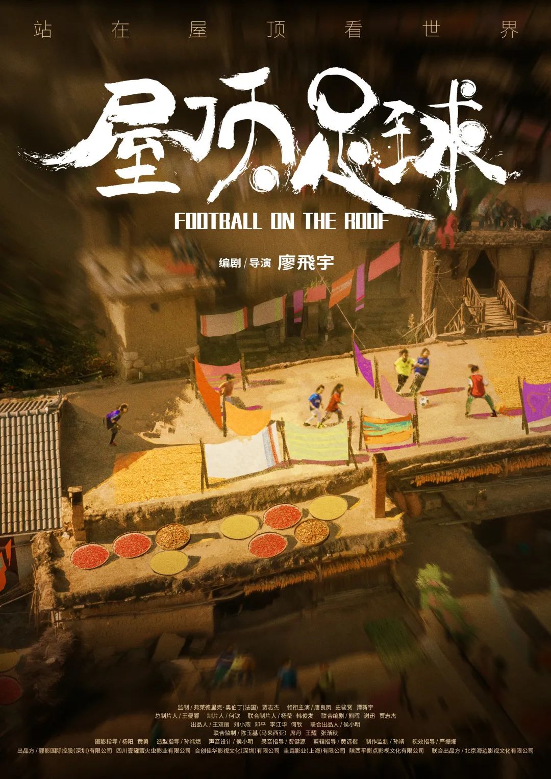 廖飞宇:《屋顶足球》闯金鸡