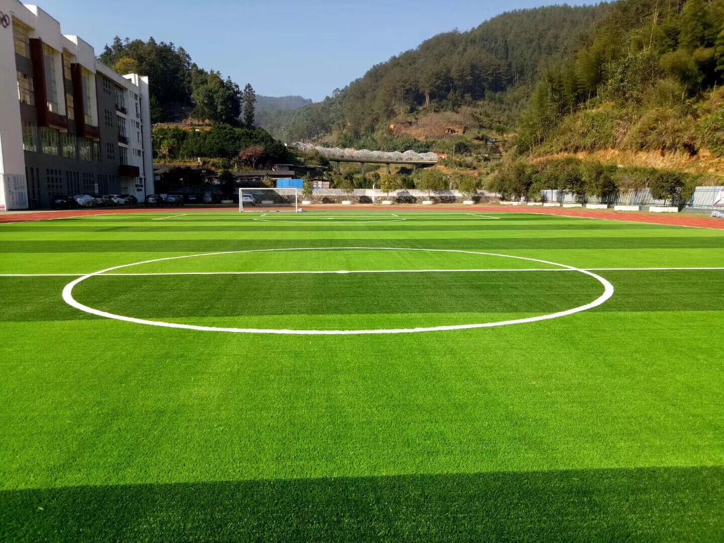 足球场的草坪是真草吗