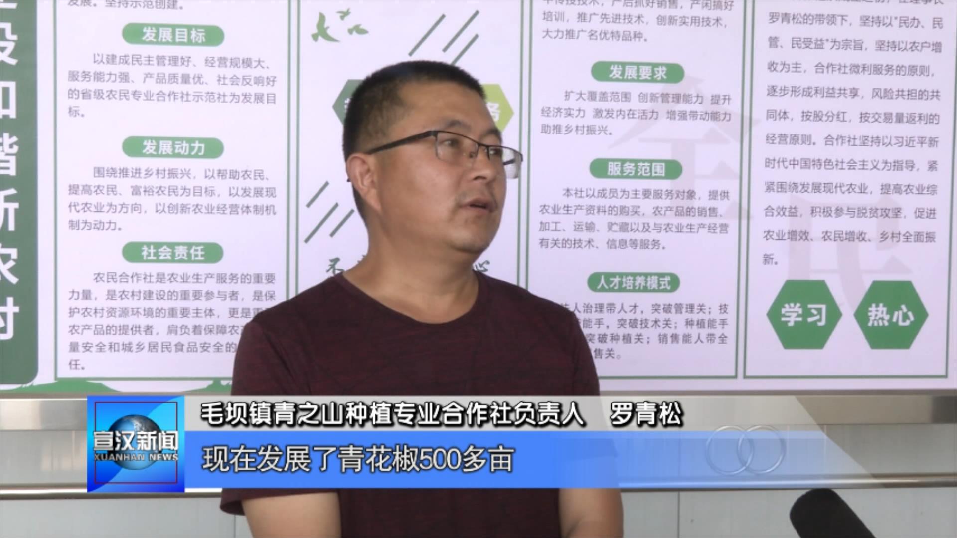 宣汉毛坝镇:营造良好创业环境 助力乡村振兴