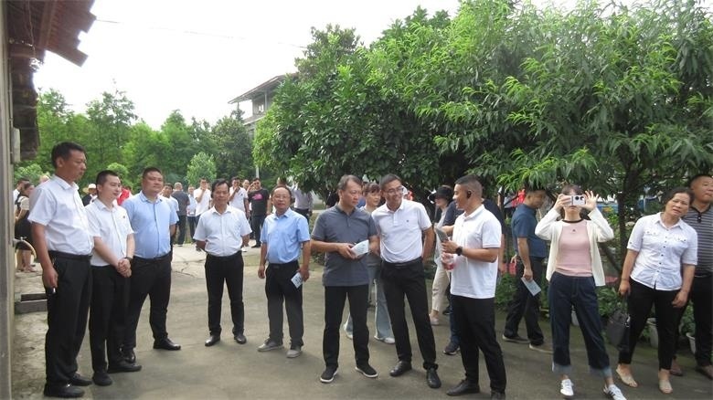 南县华阁镇开展"每日美化"行动整治人居环境取得成效