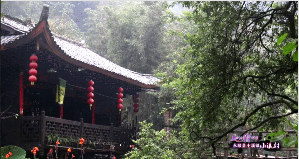 大美湘西(54)|小溪村:苍茫林海间的世外桃源