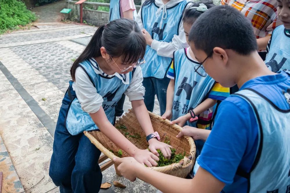 第五期少儿研学一日游火热报名中