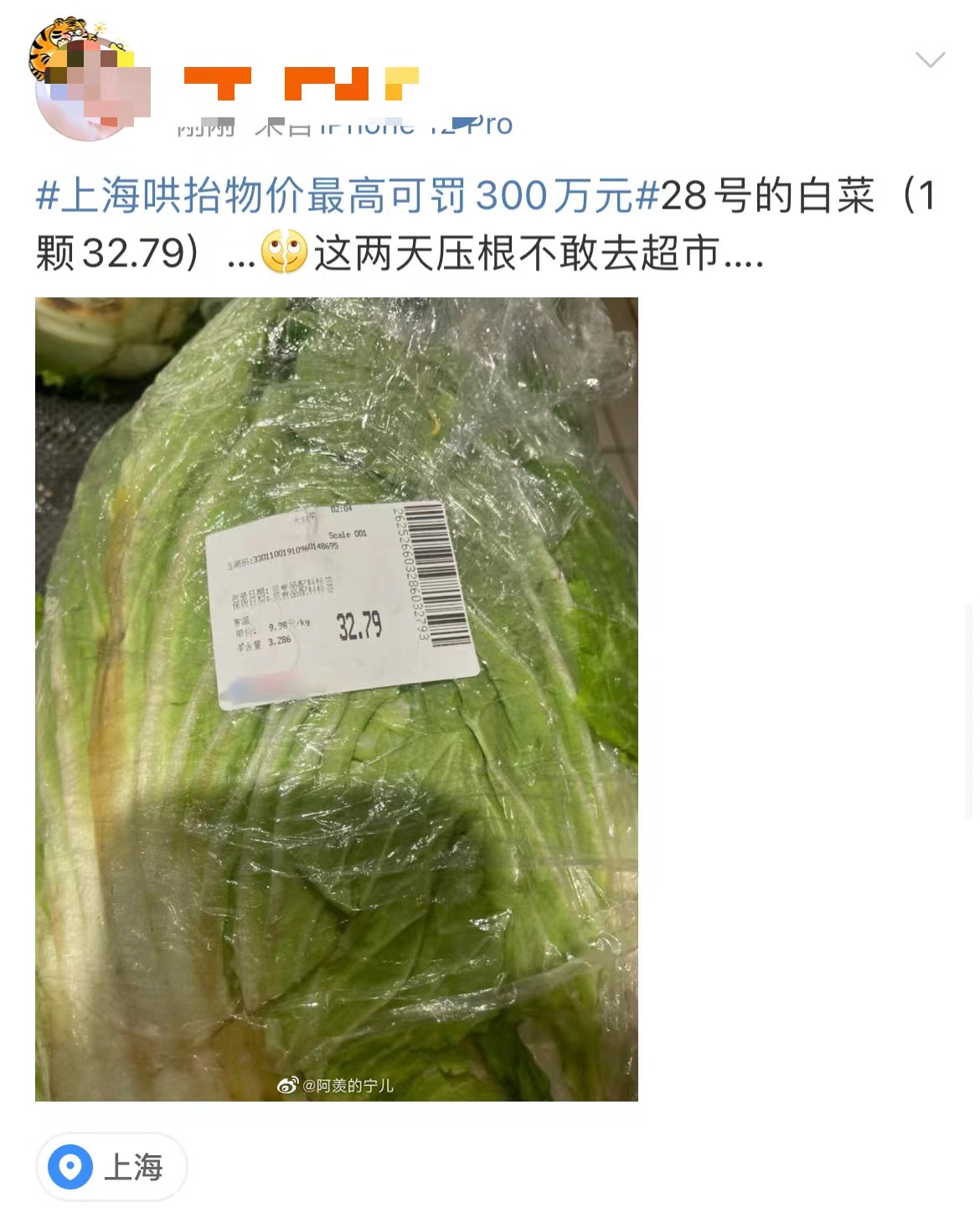 天价大白菜