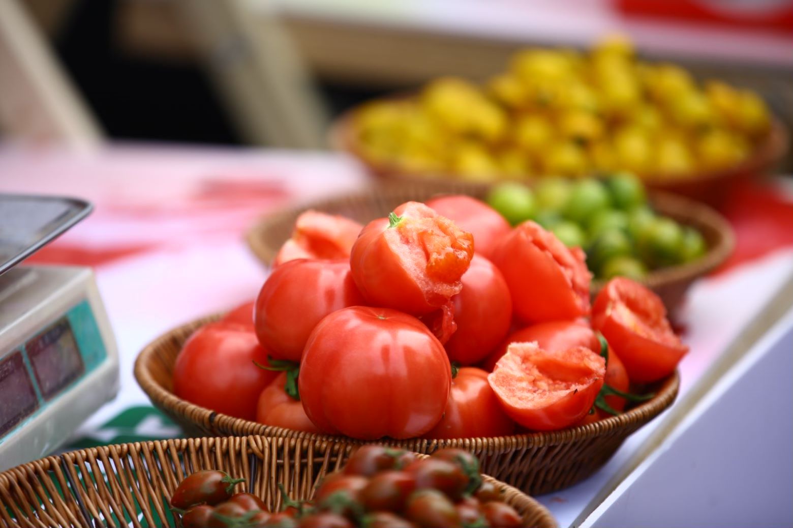 "泾阳西红柿"专场品鉴推介会在西安举办