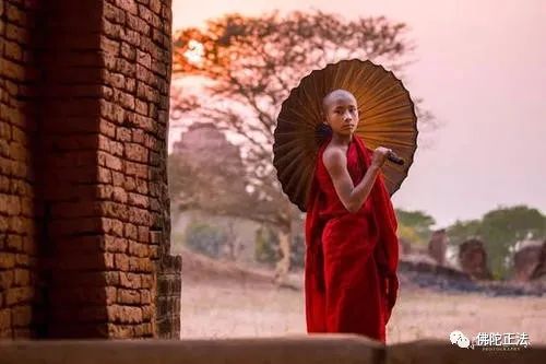 德宝法师:慈心的力量