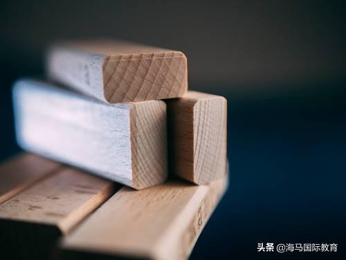 2020年河南高考状元李昊和他的高分秘籍