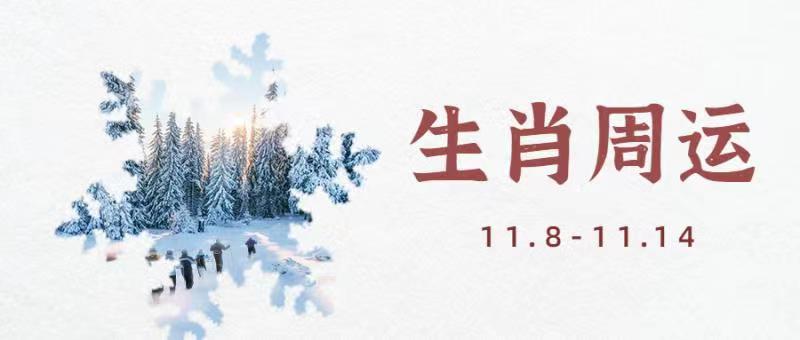 11.14各个生肖运势(2026年各个生肖运势)