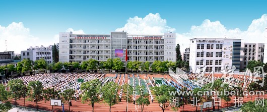 武汉市长虹中学校长袁雪峰:强化生命教育 关注学生个性培养