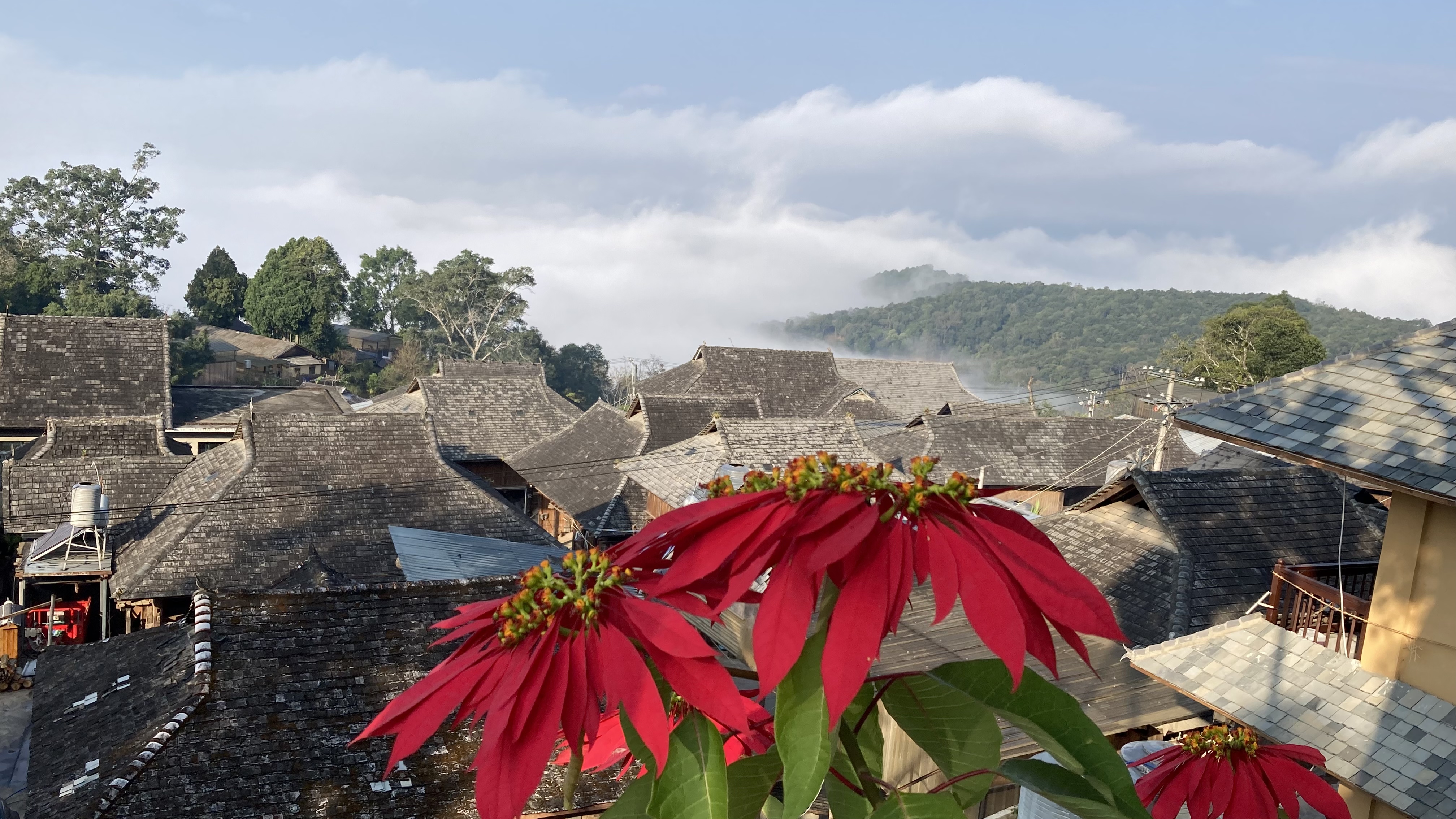 2022年全球最佳旅游目的地——中国云南景迈山